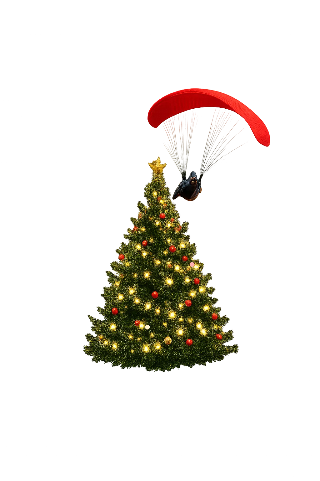 Sapin de Noël – Semnoz